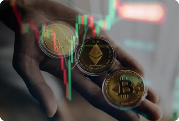 Immediate Evex bitcoin ethereum ripple coins hand